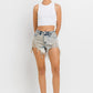 Vervet Distressed Shorts