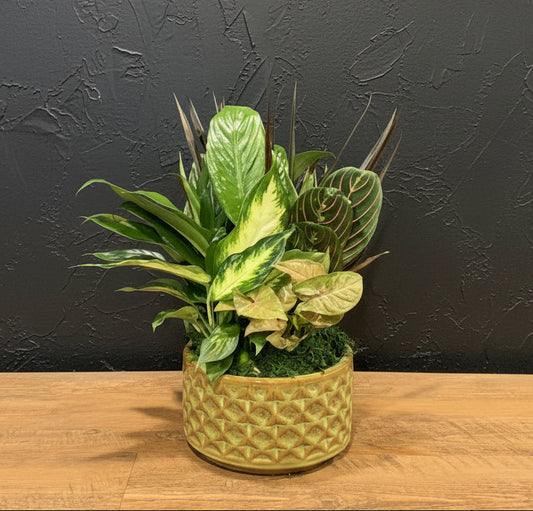 Living Spirit Garden